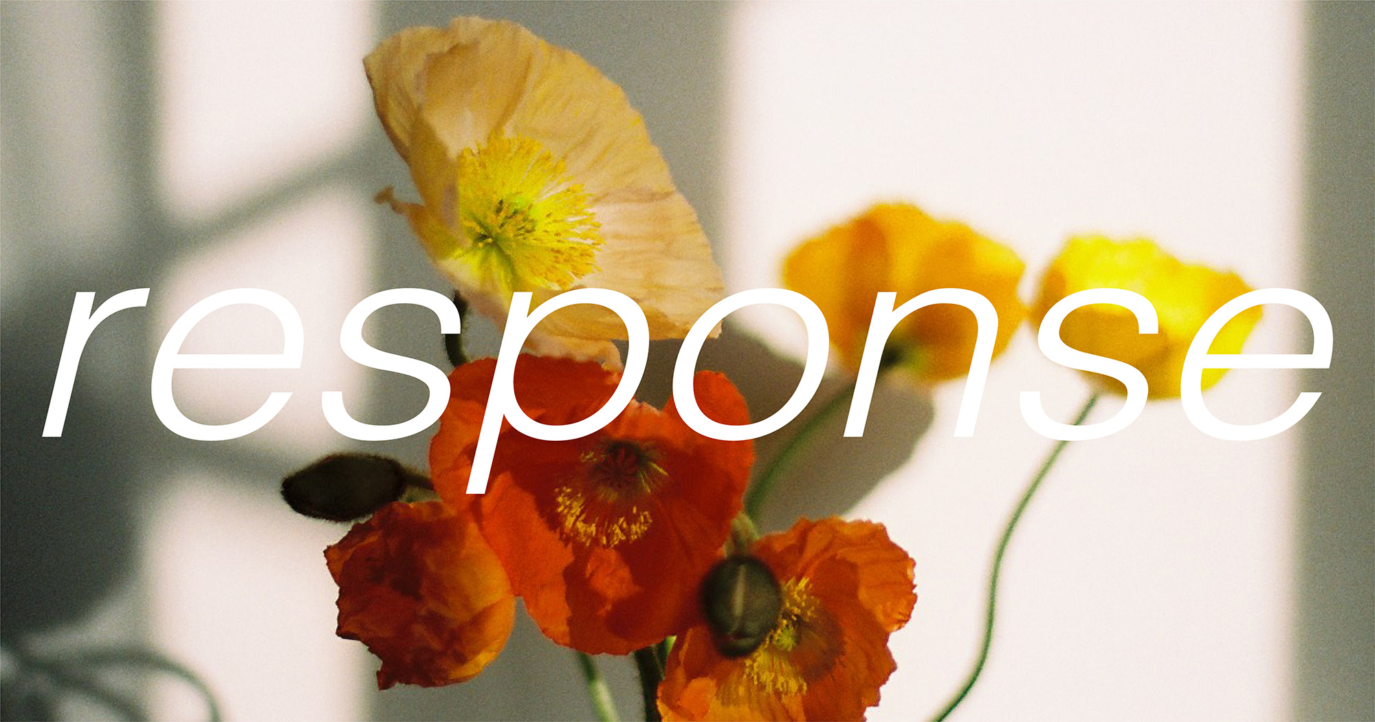response（〜24.01.03）